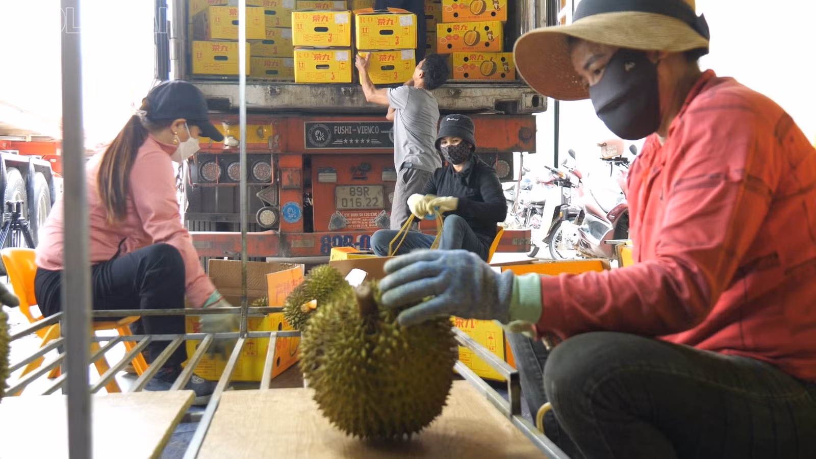 baolaocai-tl_c392600-07-31-30still018.jpg