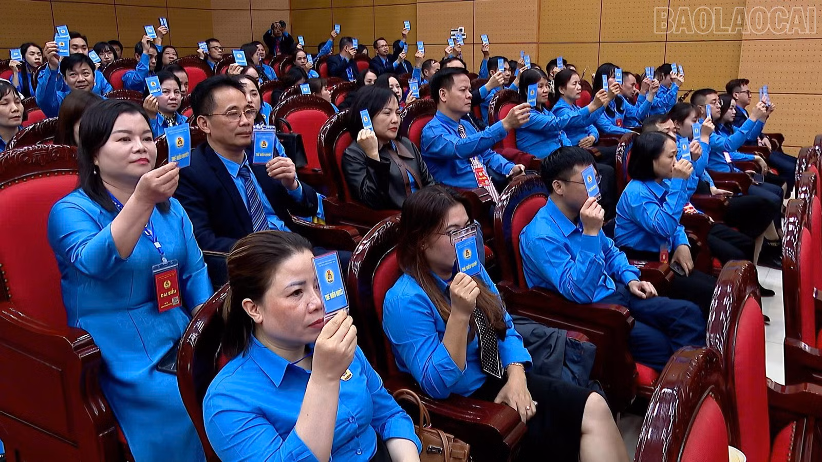 baolaocai-tr_z7339285708743-54edc354da55041b8dbc4a64fbf657b0.jpg