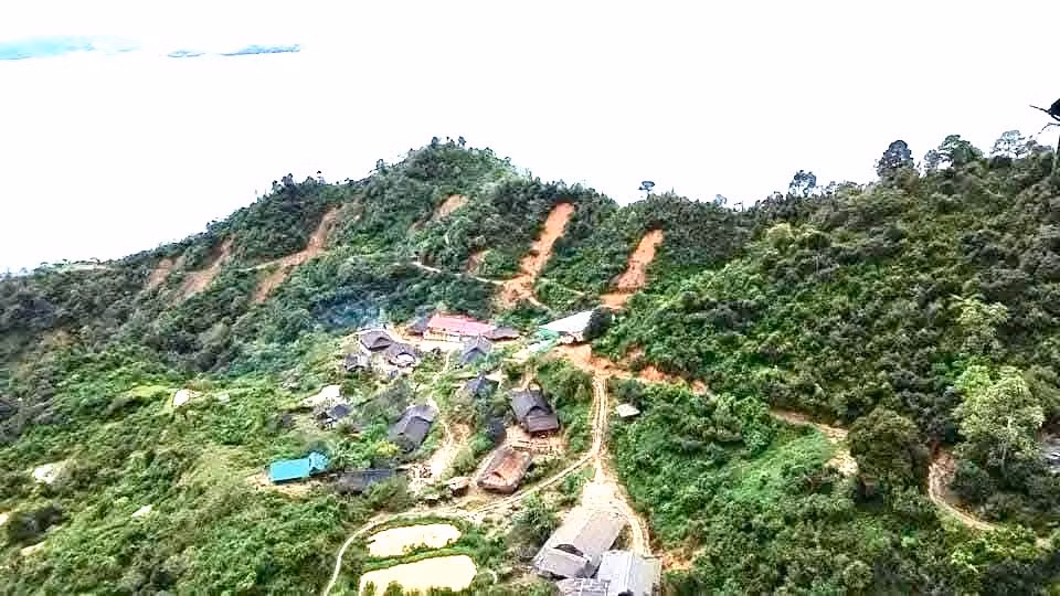 baolaocai-tr_z7353129248300-c7afbb0108899799d97197d56ddaf756.jpg