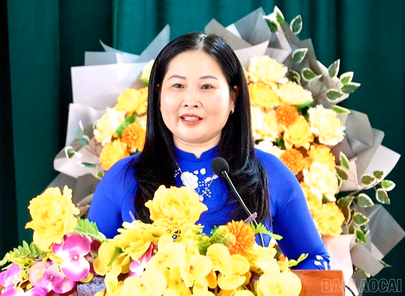 baolaocai-br_z7227165219289-53d31986ec0bb2da46e06100dd624483.jpg