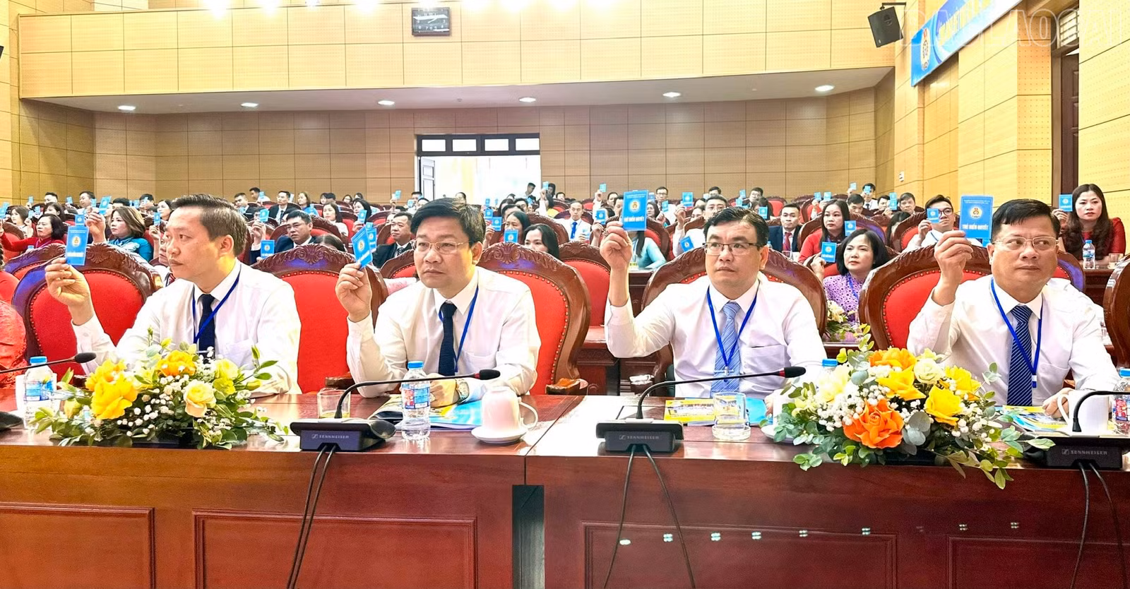 baolaocai-tr_z7336071386755-03da1eb23fc3e0c9d4cbb8af9b5a4d34.jpg
