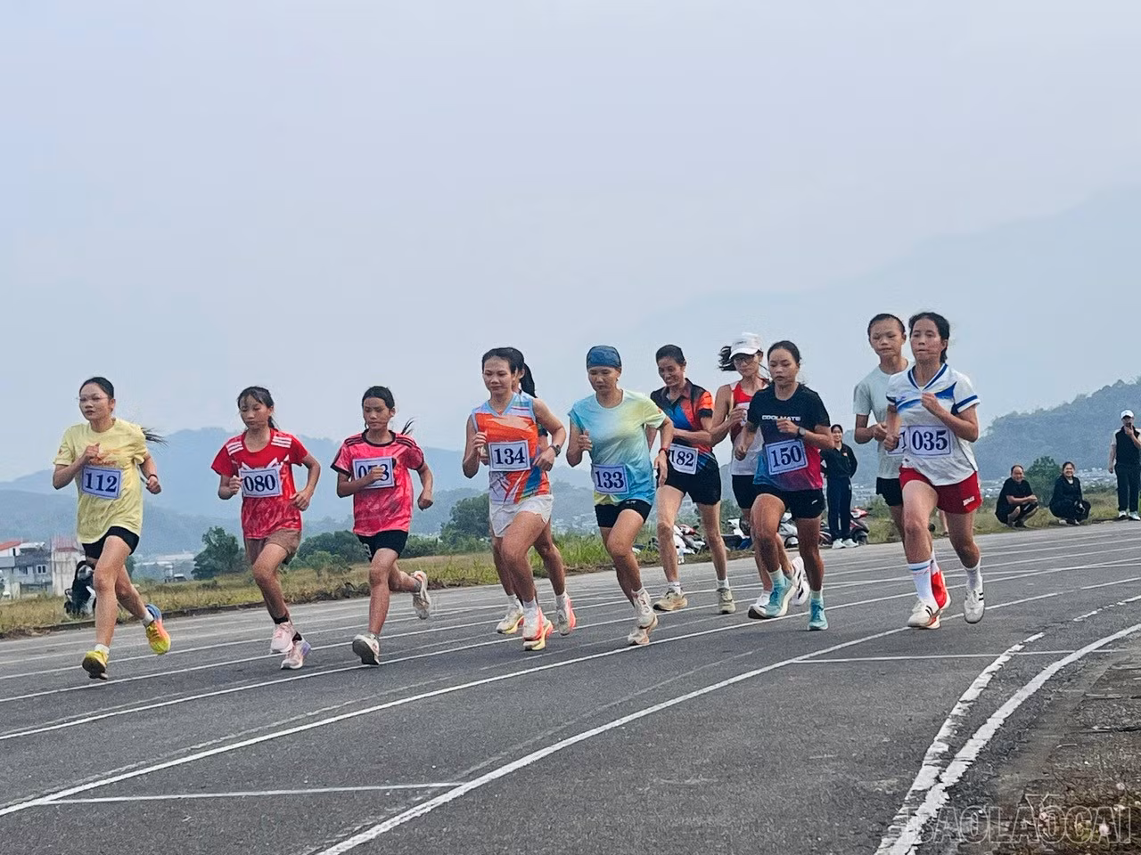 baolaocai-br_1793177899423-1504873702707355827-7195519563285048970-4854924dfb296a6fc9c3e8d3aff44af4.jpg