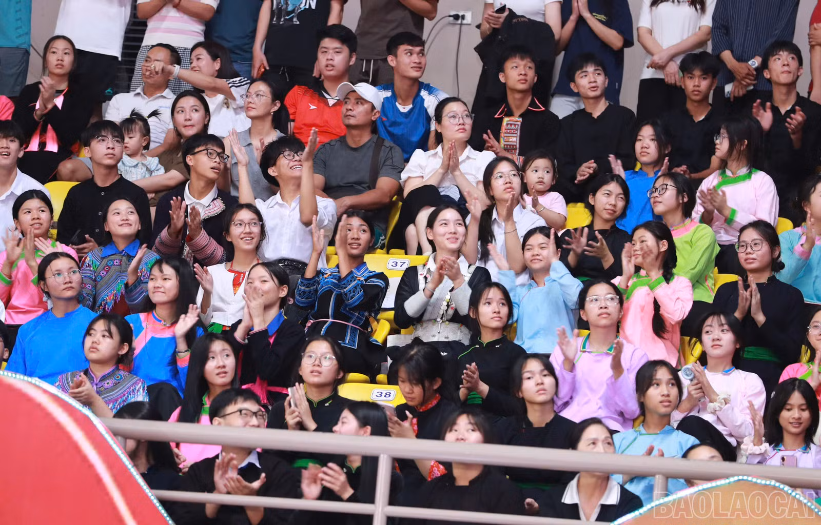 baolaocai-br_1793195919049-6772899096254330287-6772899096254330287-e11c486e6ff6e55b79bda784e28ec785.jpg