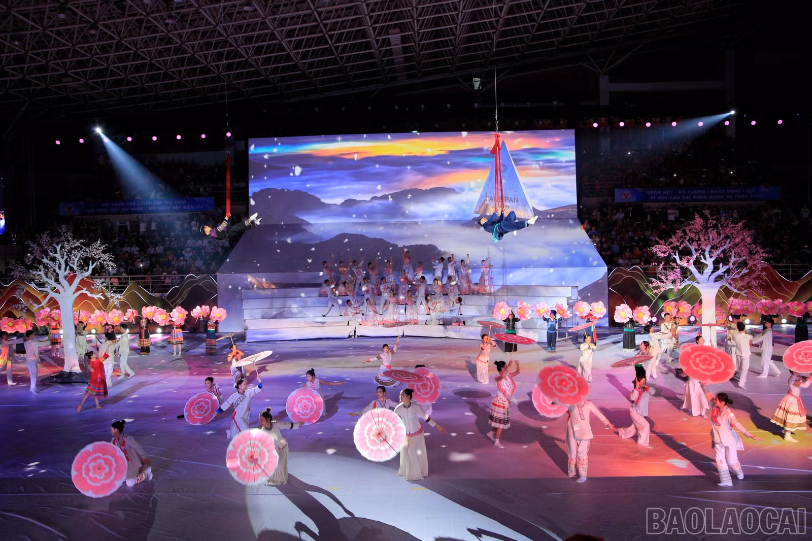 baolaocai-br_1793196211833-6772899096254330287-g1181714736090046519-ff3c3de9498462ea3791e6a3b5dfb45c.jpg