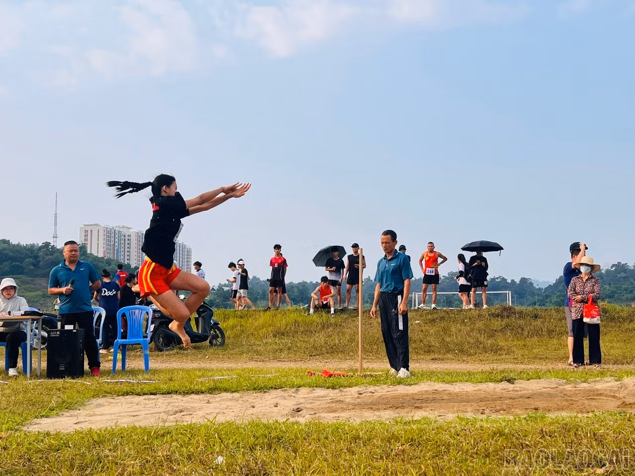 baolaocai-br_1793177948301-1504873702707355827-7195519563285048970-e5e0e20ede85f41e0a0575f95d113bf8.jpg