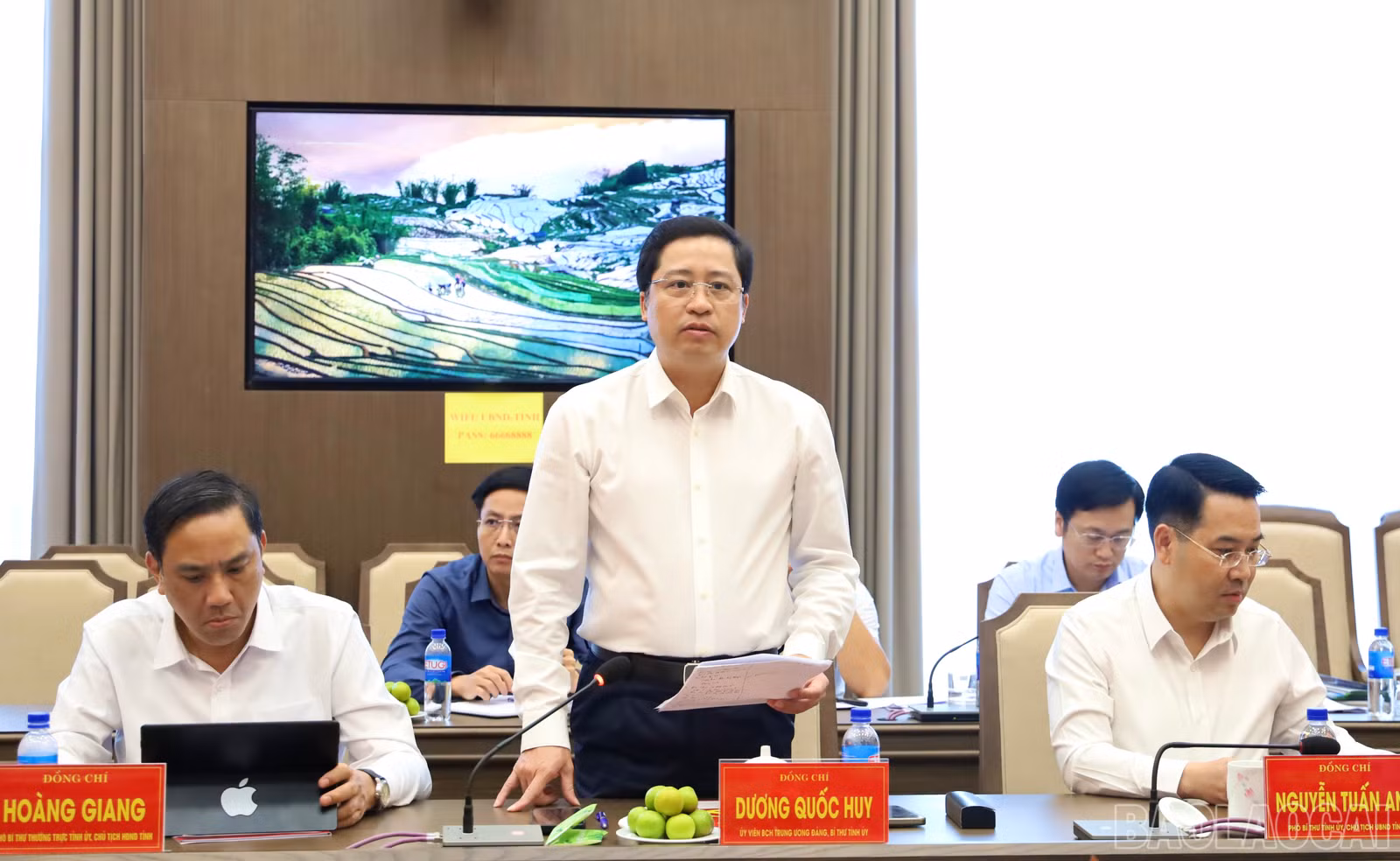 baolaocai-br_img-6878.jpg