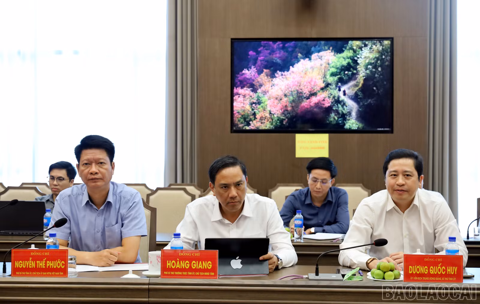 baolaocai-br_img-9469.jpg