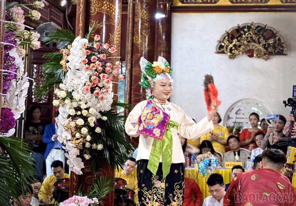 baolaocai-br_img-2677.jpg