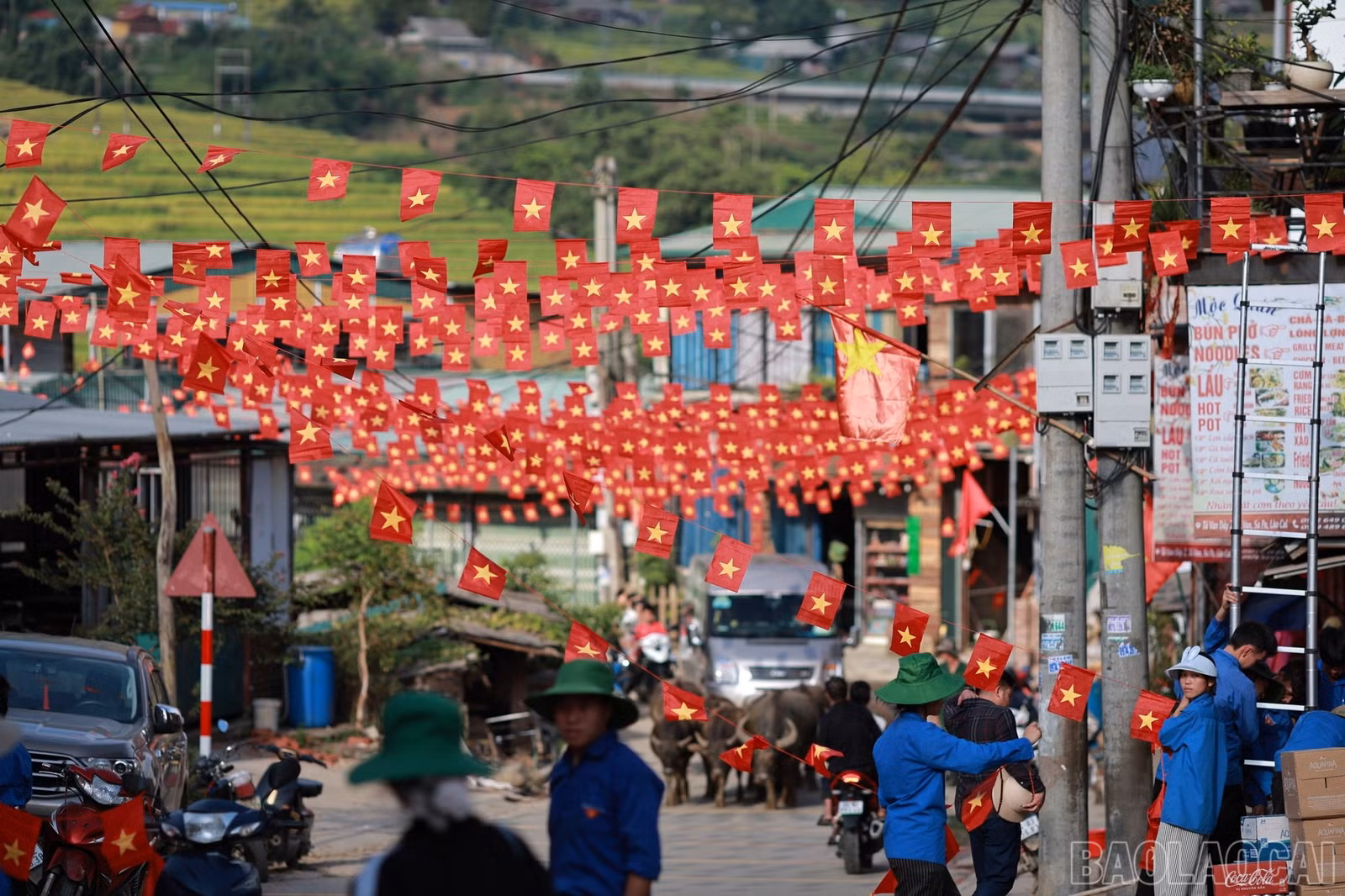 baolaocai-br_539058543-122126129138926353-607344938391439722-n.jpg