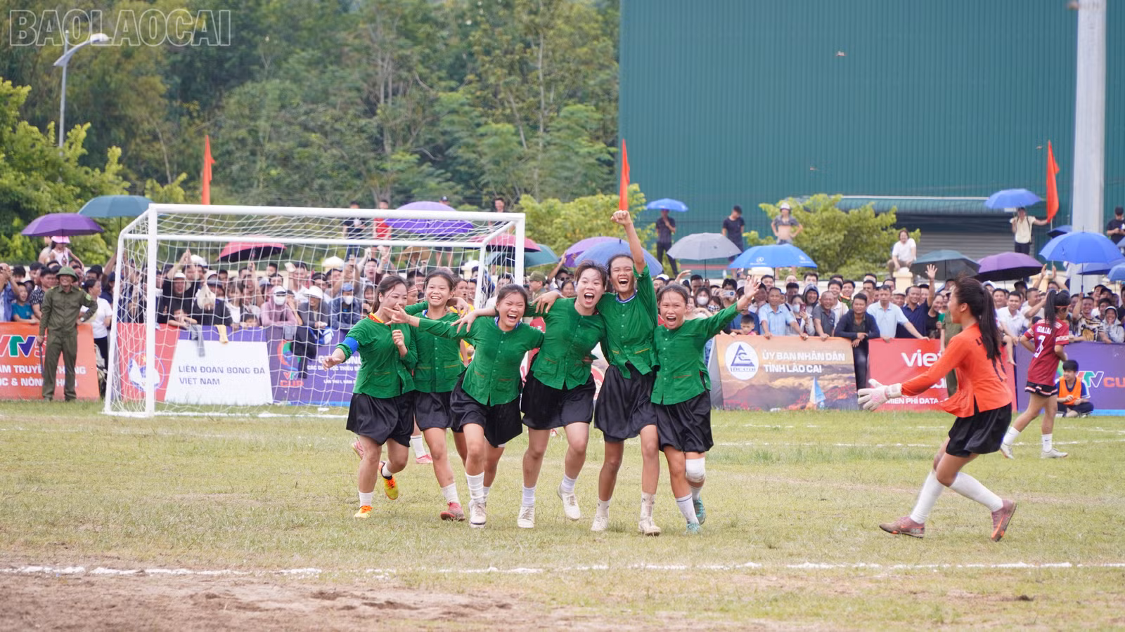 baolaocai-tl_beo03734.jpg