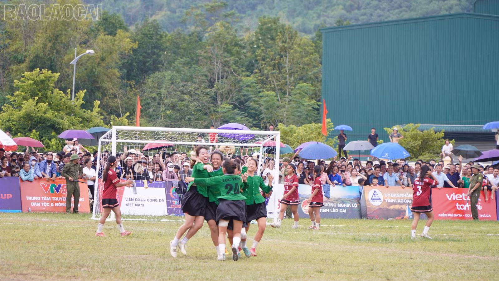 baolaocai-tl_beo03733.jpg
