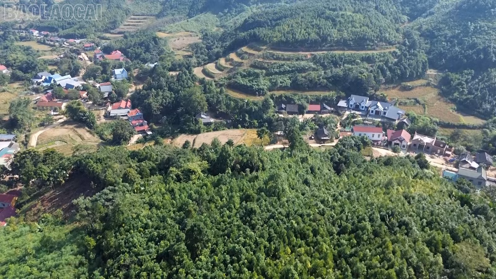 baolaocai-tl_vanh-pstl-giam-ngheo01-16-27-15still026.jpg