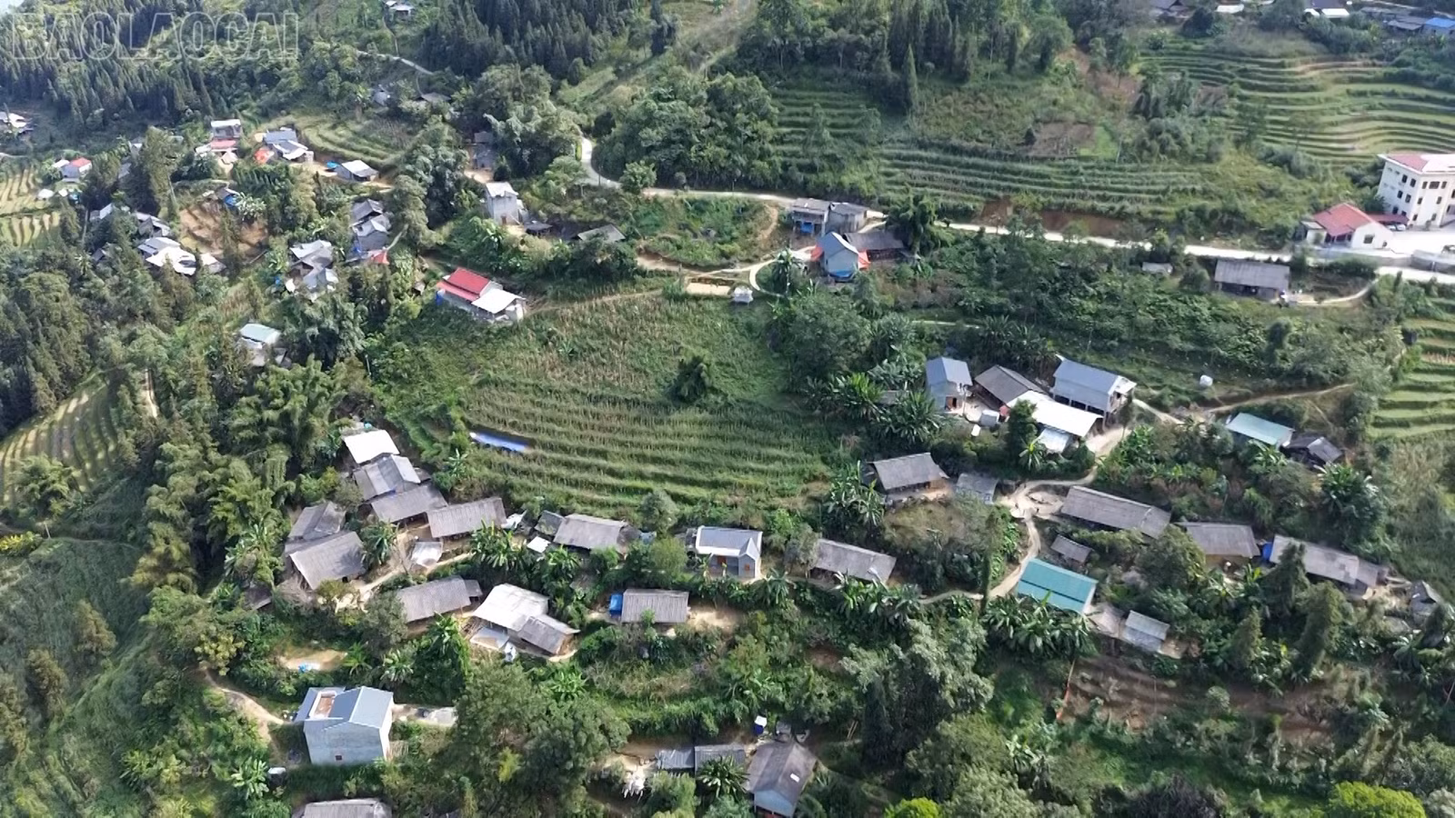 baolaocai-tl_vanh-pstl-giam-ngheo01-00-33-02still016.jpg