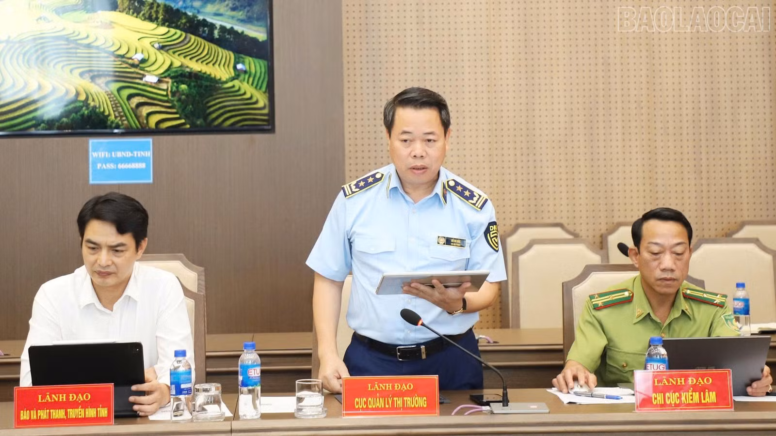 baolaocai-tr_389.jpg