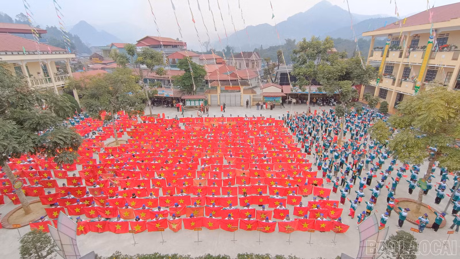 baolaocai-br_2267989585991148041.jpg