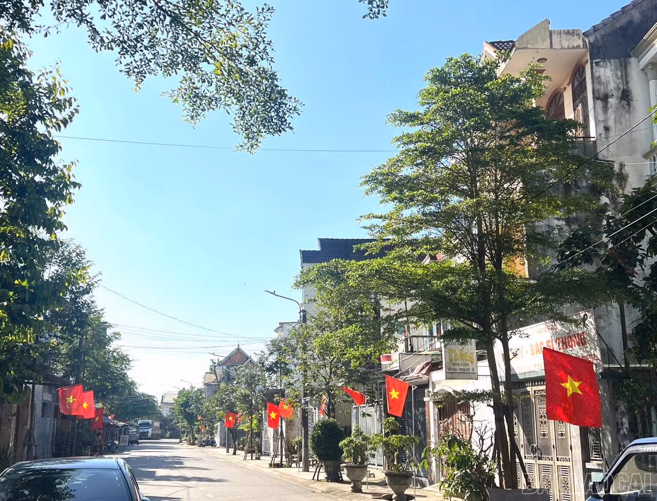 baolaocai-br_615462796-122160742862922950-3630729281562456896-n.jpg