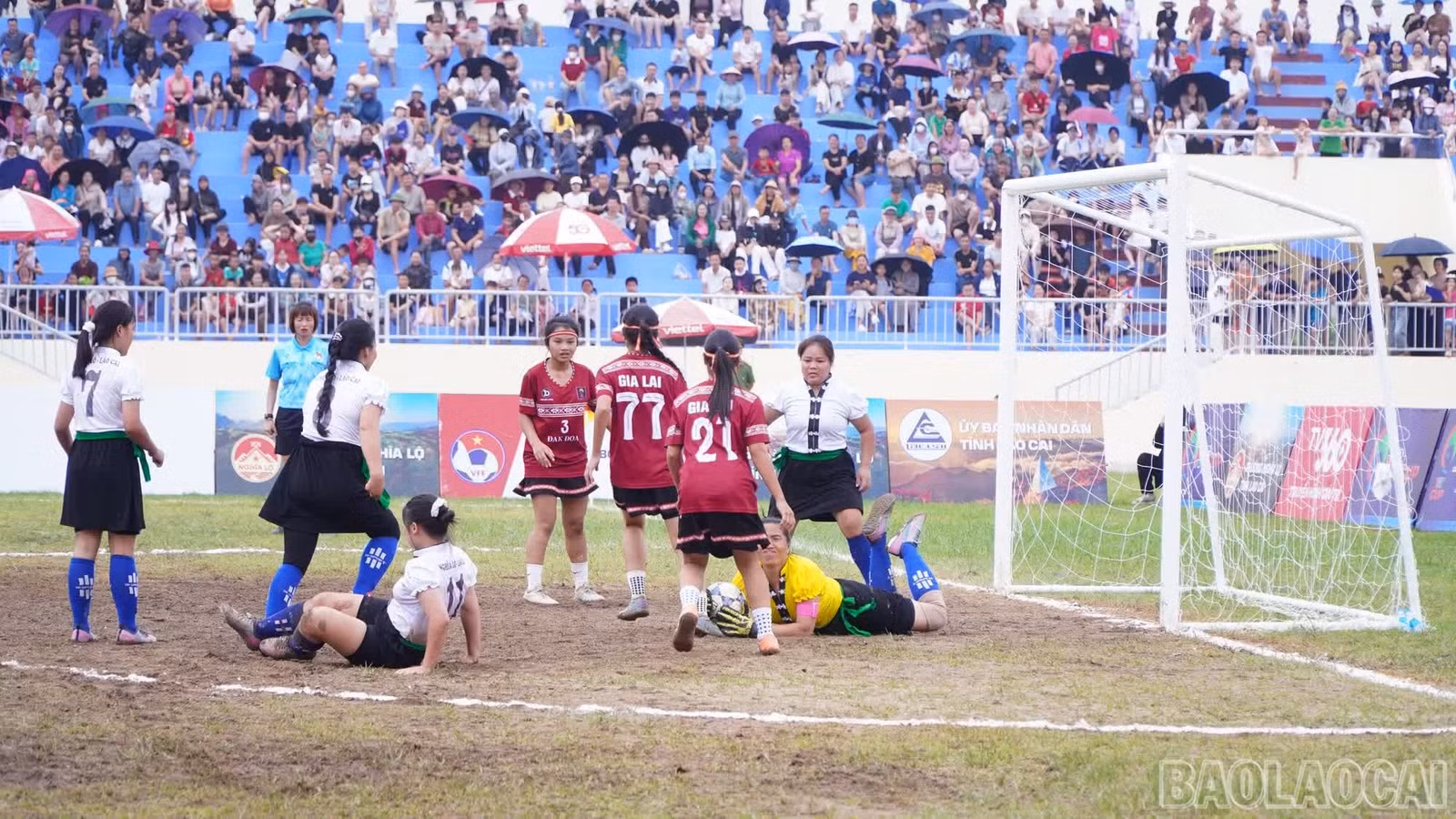 baolaocai-br_giang.jpg