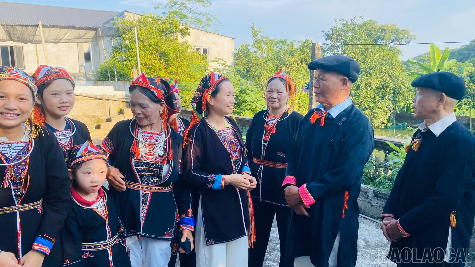 baolaocai-br_1789006149763-2286320727308424632-1062063445439005631-3a987c867270da7823d297088e5dcaca.jpg
