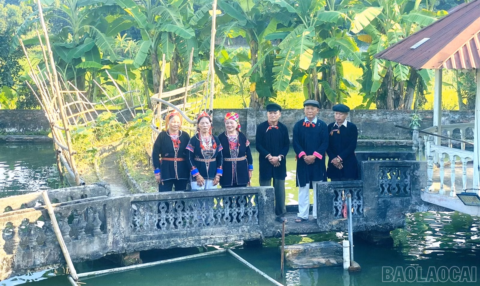 baolaocai-br_hat-giao-duyen-dao-quan-trang.jpg
