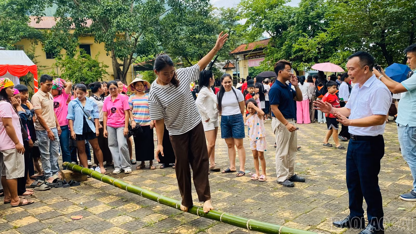 baolaocai-br_1787719511724-2286320727308424632-1062063445439005631-61ad6a12e29d2ce9d6a4883026fc19f2.jpg
