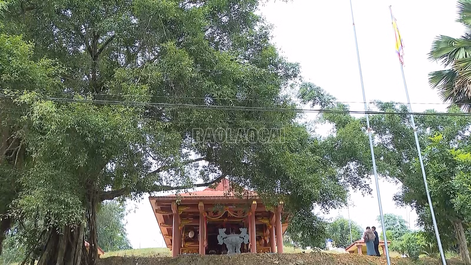 baolaocai-c_dinh-va-den-quy-mong.png