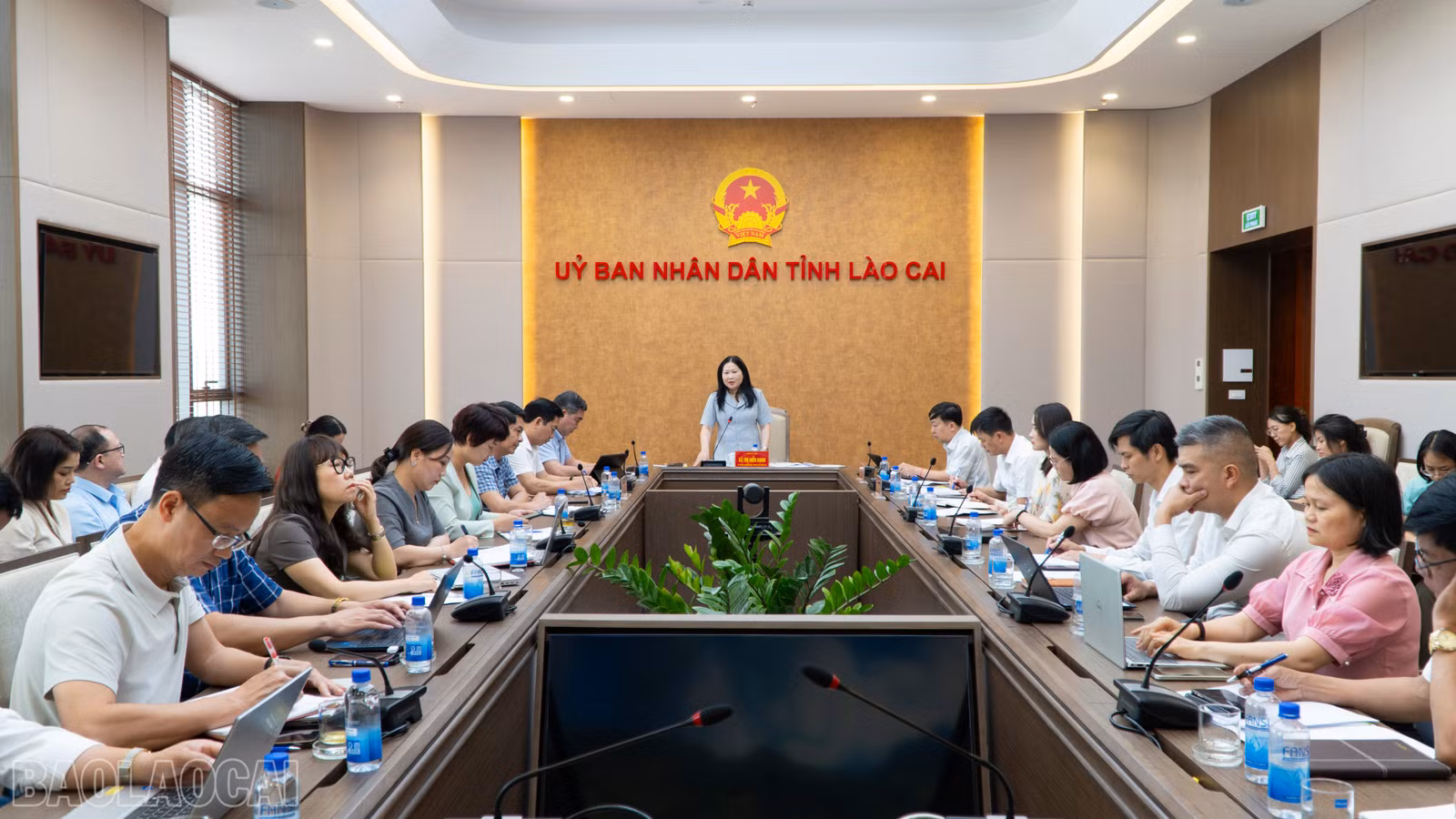 Đồng chí Vũ Thị Hiền Hạnh - Phó Chủ tịch UBND tỉnh chủ trì buổi làm việc.