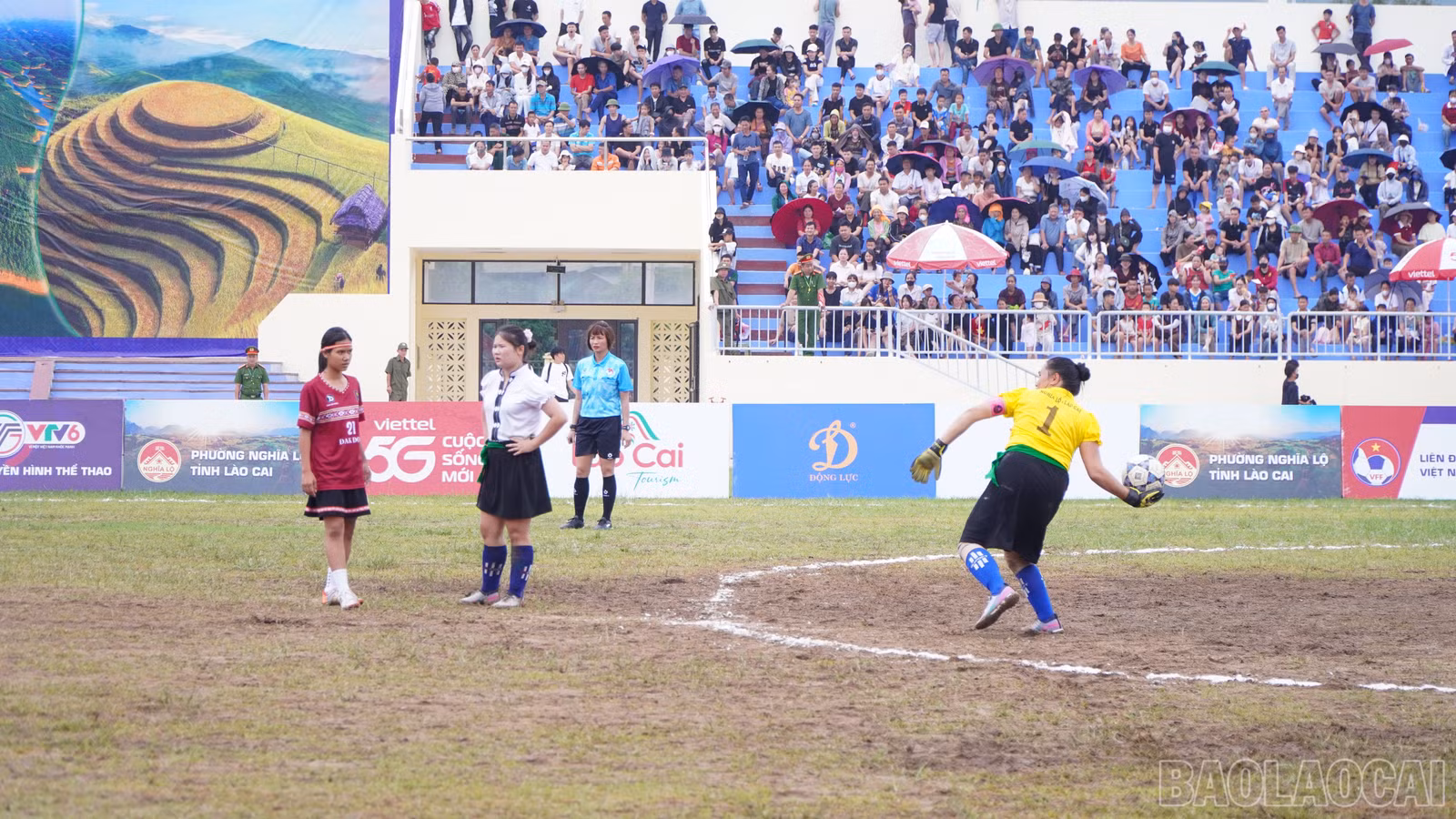baolaocai-br_beo03333.jpg