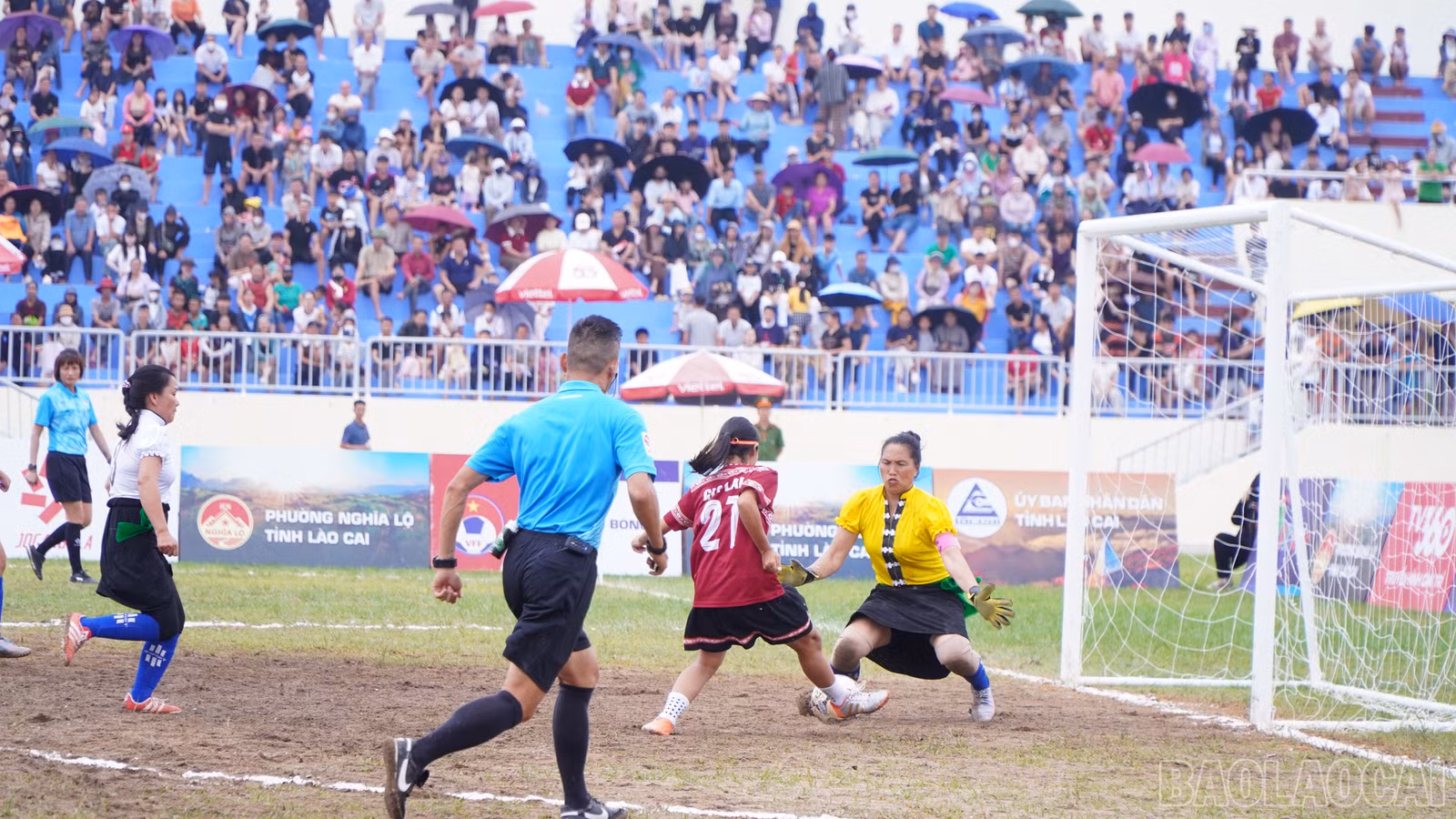 baolaocai-br_beo03336.jpg