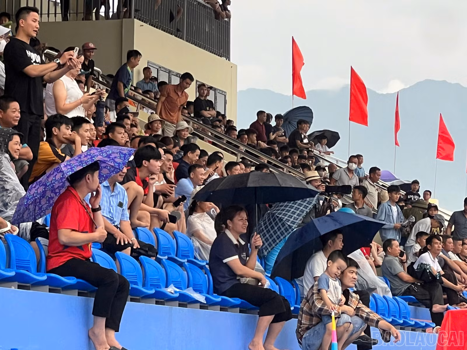 baolaocai-br_1787825039587-8410990227297320379-8410990227297320379-b07c66b1dcb05a13d207d460bf6552bf.jpg