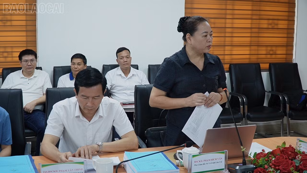 baolaocai-tl_c0769t01.jpg