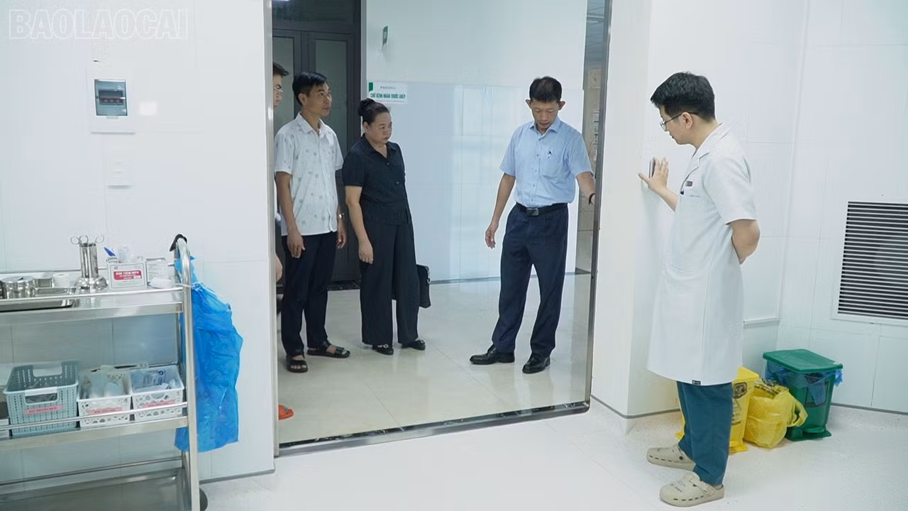 baolaocai-tl_c0790t01.jpg