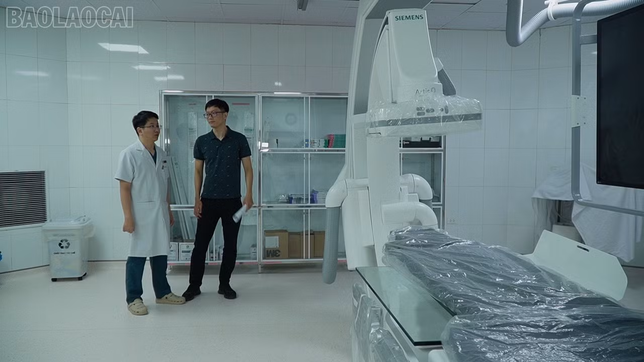 baolaocai-tl_c0797t01.jpg