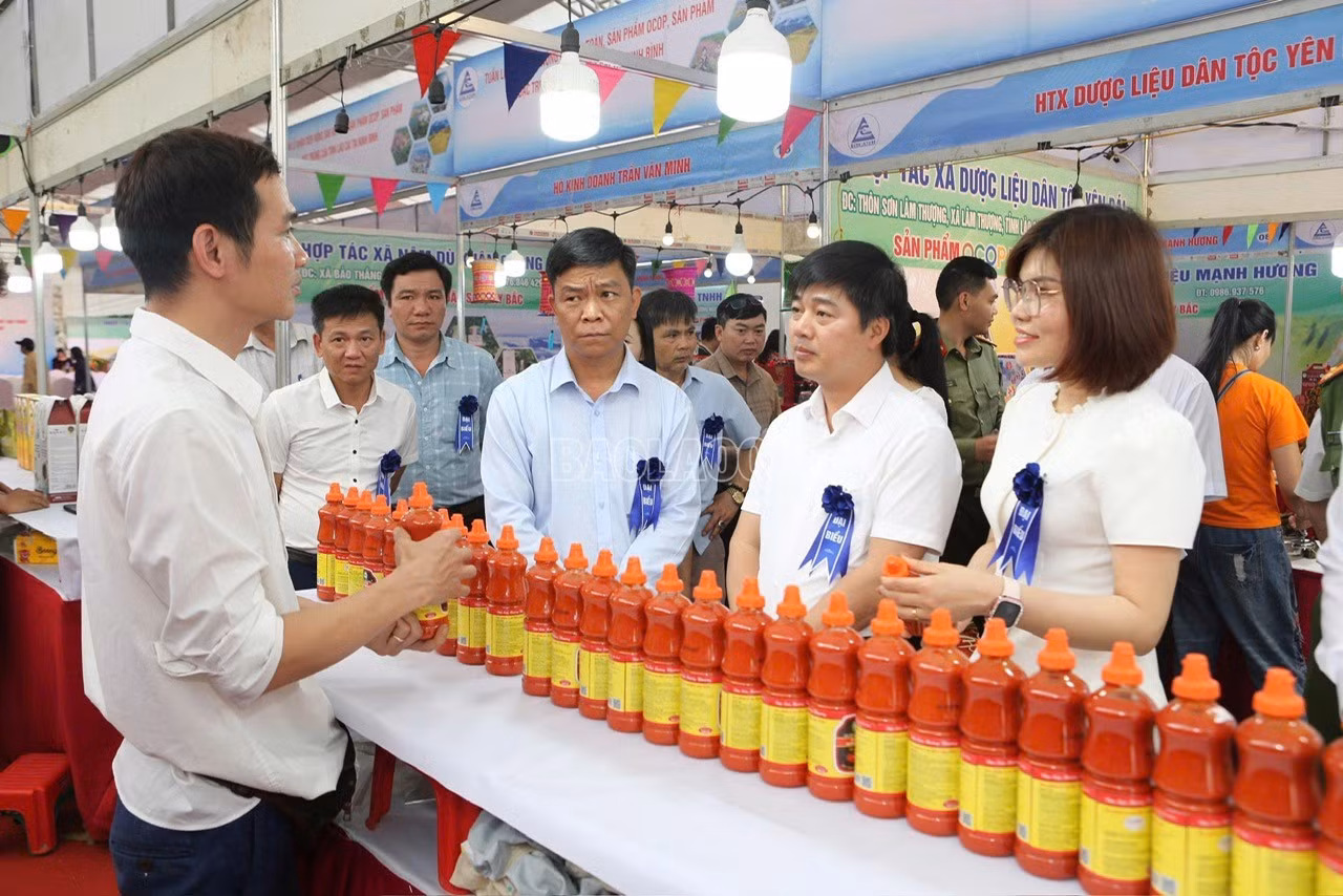 baolaocai-c_z7731844385024-434b4f3a960c86ba5cb5e09836cfc17b.jpg