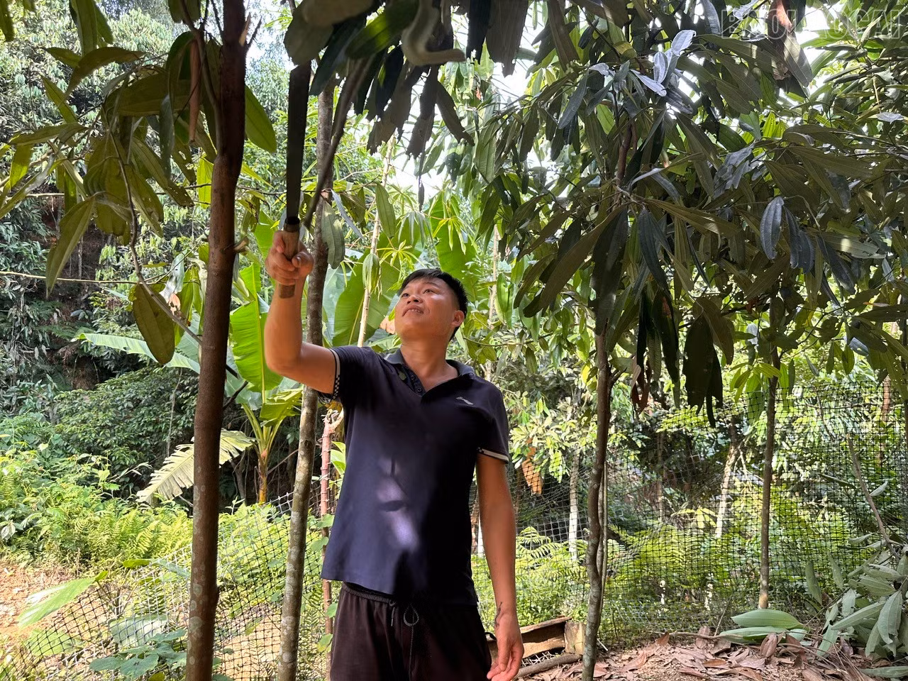 baolaocai-tr_1784875241428-2233525538719524409-8703897420327597324-0dccbb9af2b44d22b51d755cd06deb16.jpg
