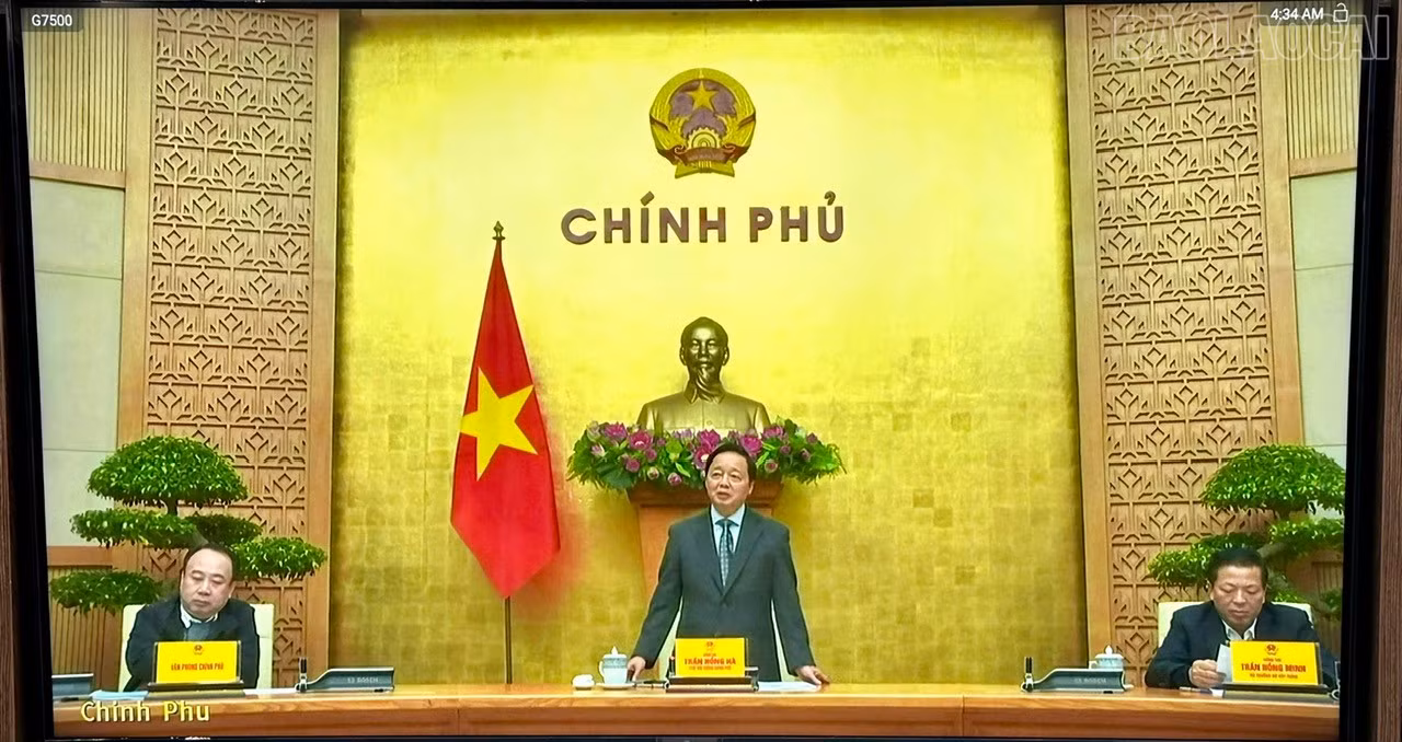 baolaocai-tr_z7402755104067-dab94baaca64d4c79dd729e24a1b4639.jpg