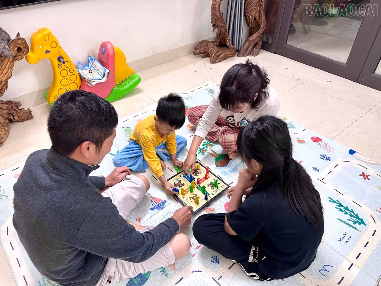 baolaocai-tr_z7623338782786-a54556b531eede941423de6a8b965f36.jpg