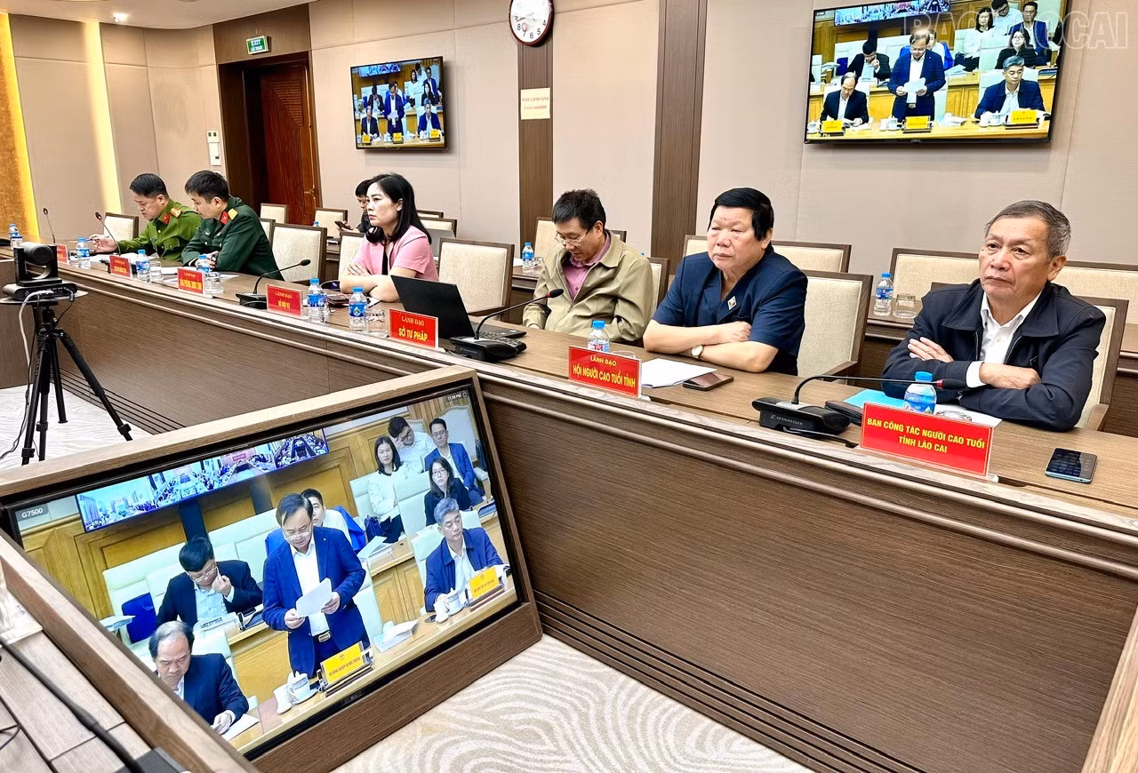 baolaocai-tr_z7608218652564-0129a1128614e22961bdaa32206a29c3.jpg