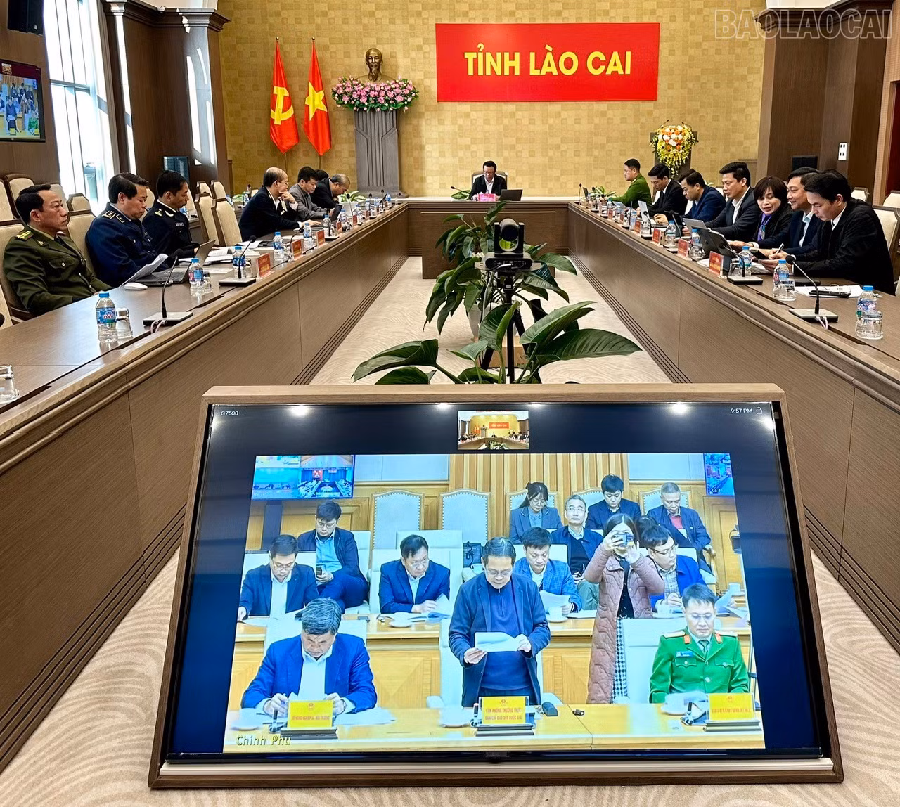 baolaocai-tr_z7412528736781-53fb1704eaa00344b04e574708e874cf.jpg