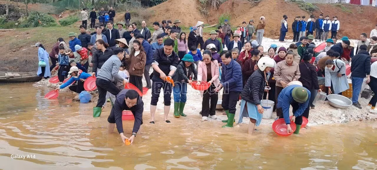 baolaocai-c_z7789510428780-9fd0a558f9f098f9728a69f5ad8f86dc.jpg