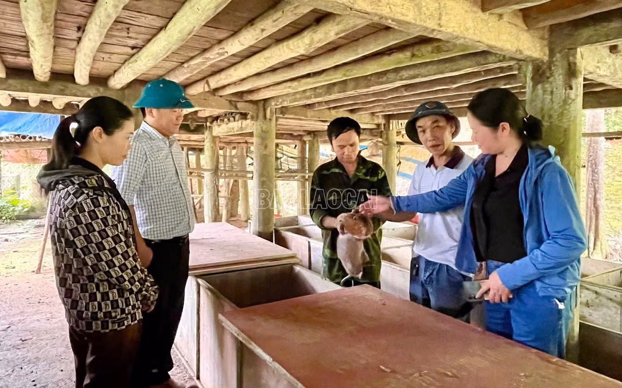 baolaocai-c_z7789510392351-32b8c21bef8bf244cf61c7c2349e0541.jpg
