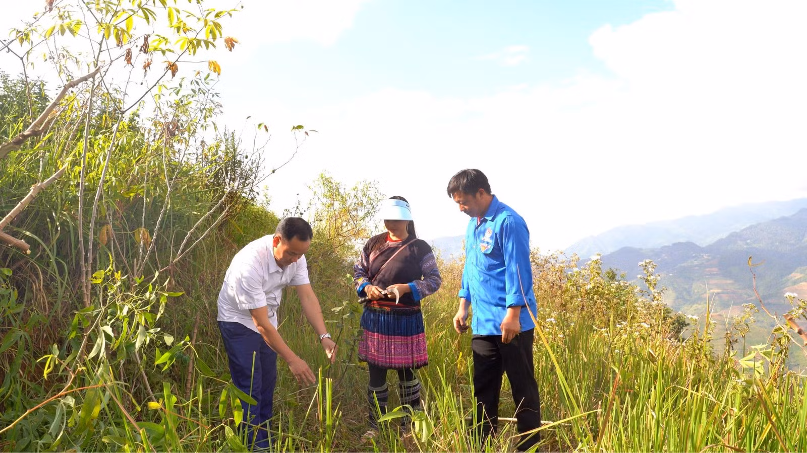 baolaocai-tr_thiet-ke-chua-co-ten-1.jpg