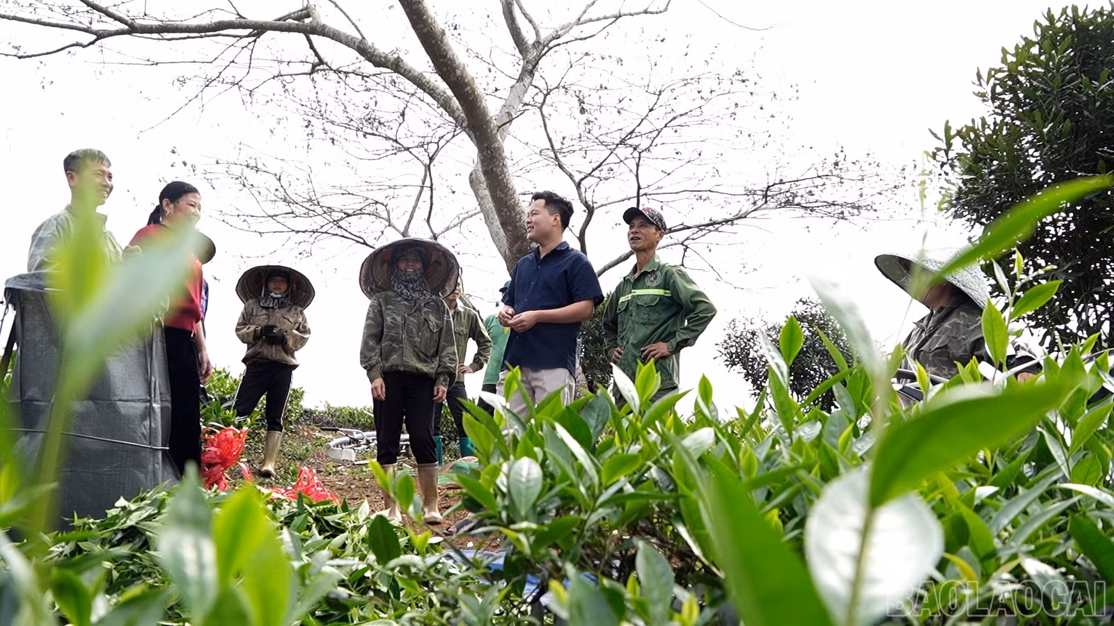 baolaocai-br_da-phuong-tien00-03-51-24still001.jpg