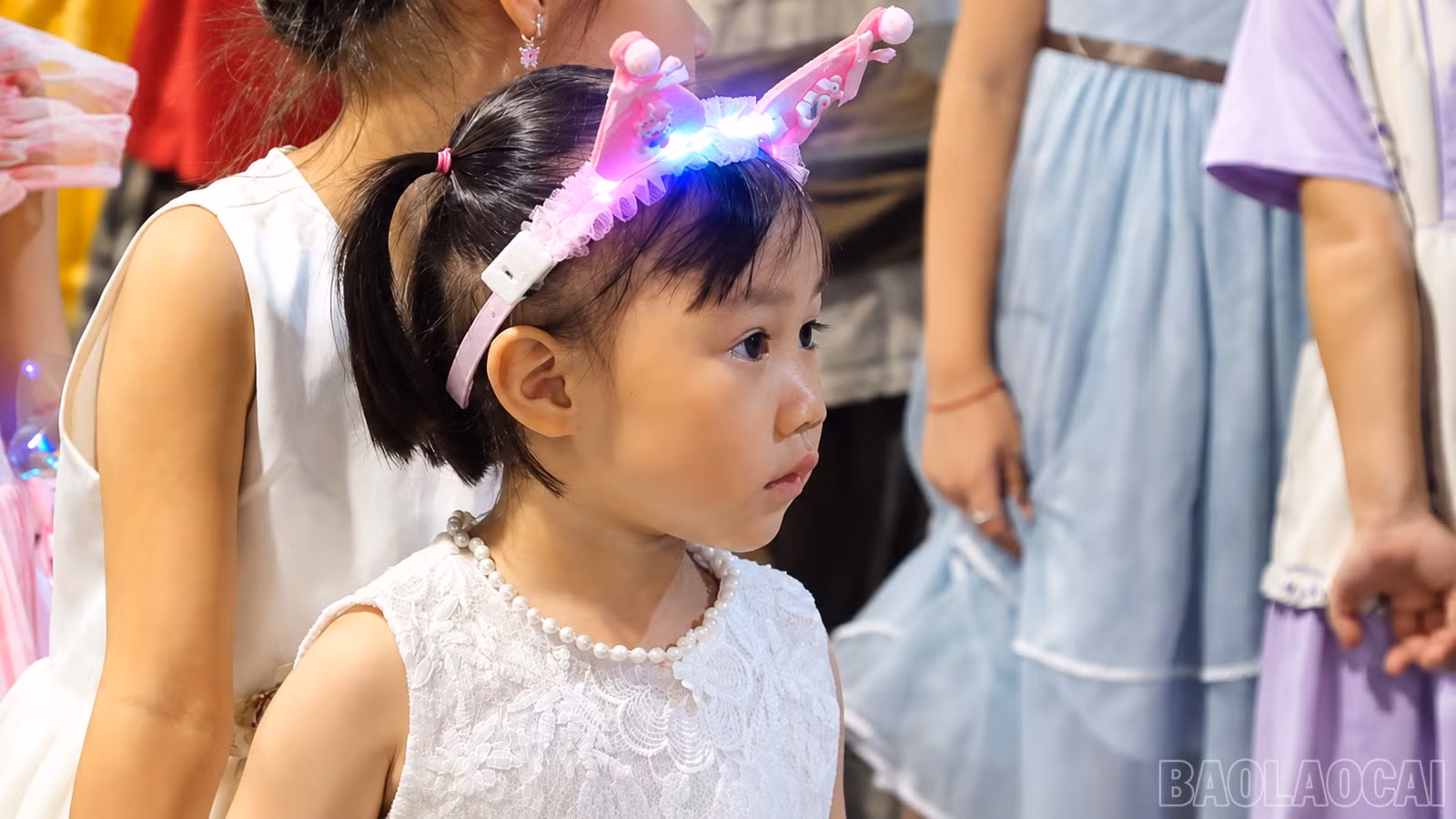 baolaocai-br_image-15-10-19-24-thg-9-2026.png