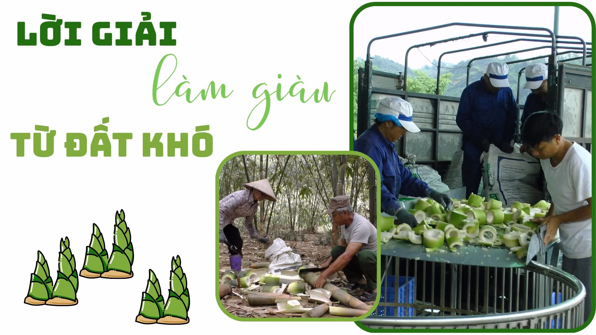 Lời giải làm giàu từ đất khó