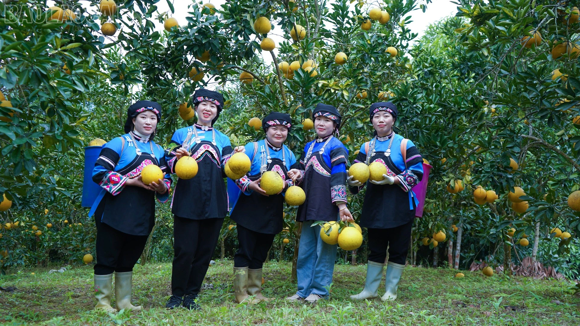 baolaocai-tl_muong-khuong.jpg