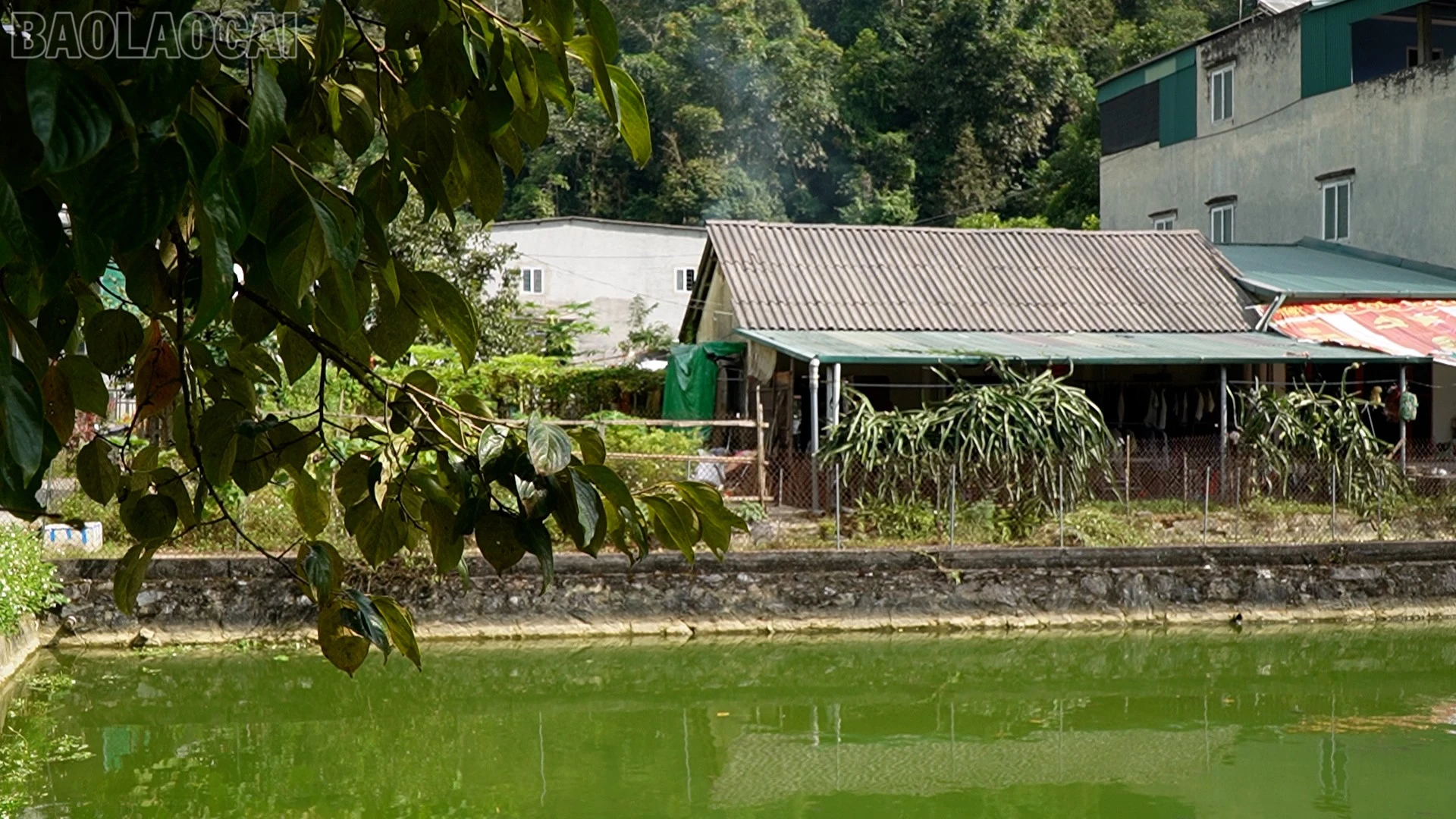 baolaocai-tl_muong-khuong-3.jpg