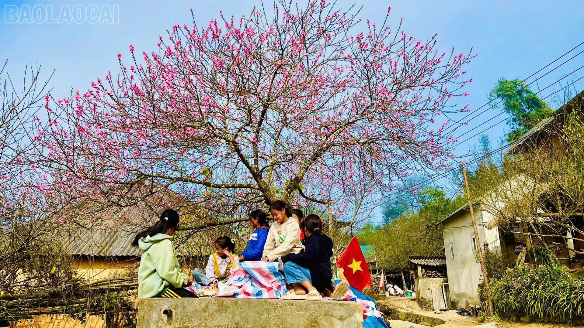 baolaocai-tl_sac-tham-14.jpg