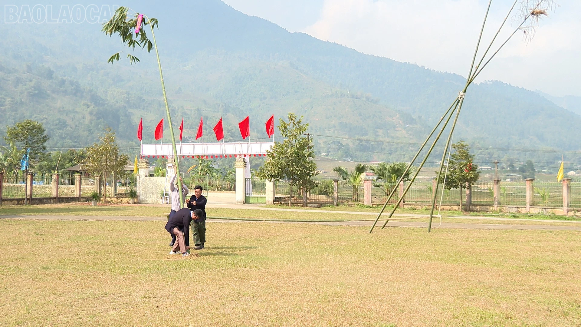 baolaocai-tl_nem-con-3.jpg