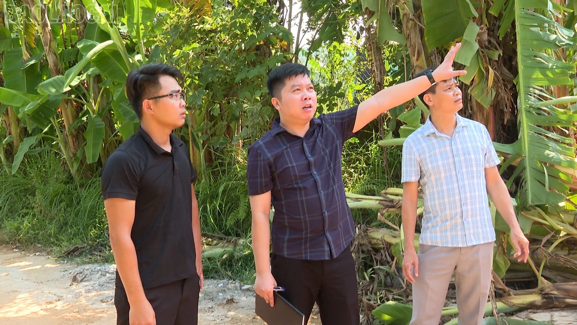 baolaocai-tl_giao-viec-4.jpg