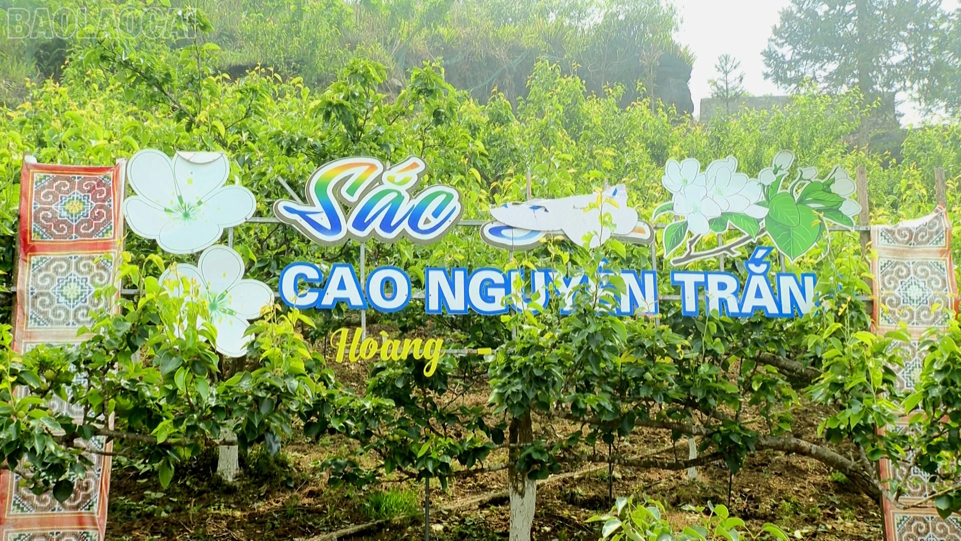 baolaocai-tl_hoang-ha-4.jpg